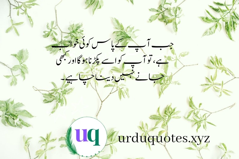 motivational Urdu quotes xyz