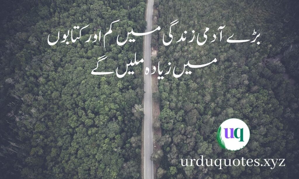 urdu quotes about life 10