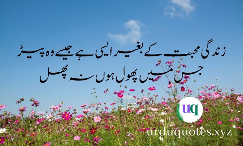 urdu quotes about life 2