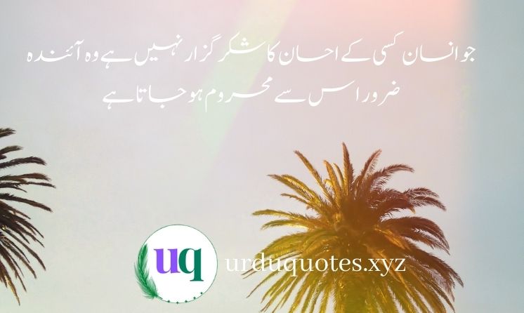 Best Quotes of Hazrat ALI (R.A)12