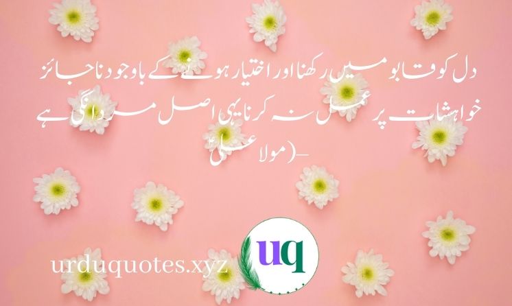 Best Quotes of Hazrat ALI (R.A)16