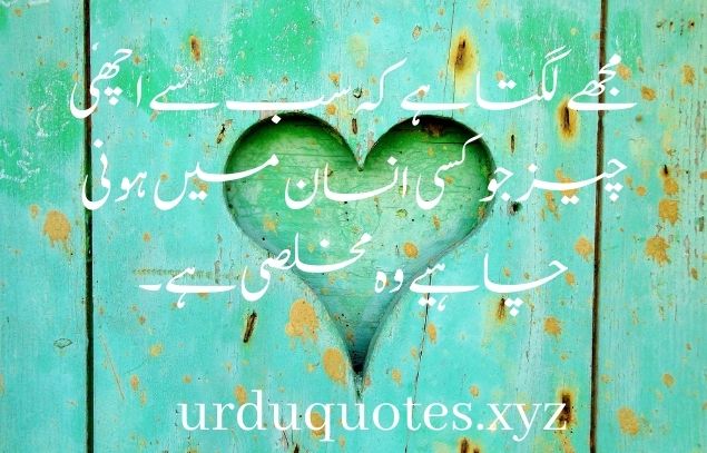 Quotes in Urdu About Life Reality one Line3