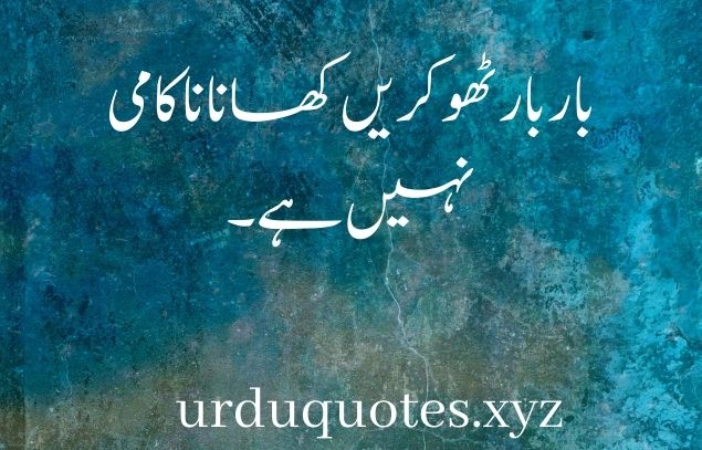 Quotes in Urdu About Life Reality one Line4