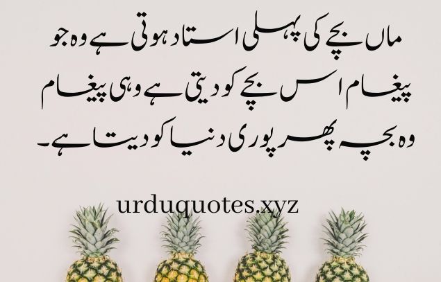 Quotes in Urdu About Life Reality one Line5